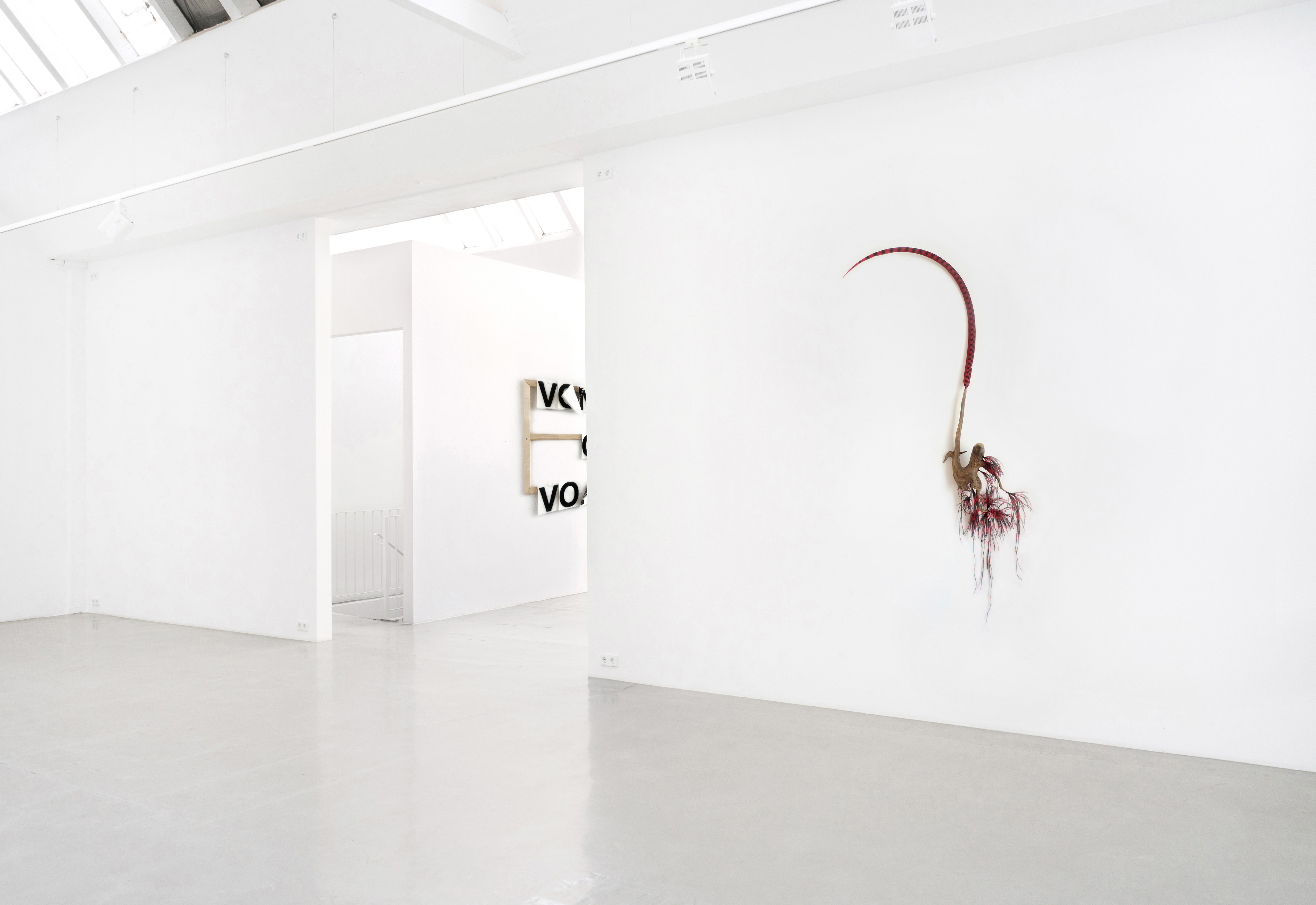 Galerie Barbara Thumm \ New Viewings #21 \ Plüme Ferberger