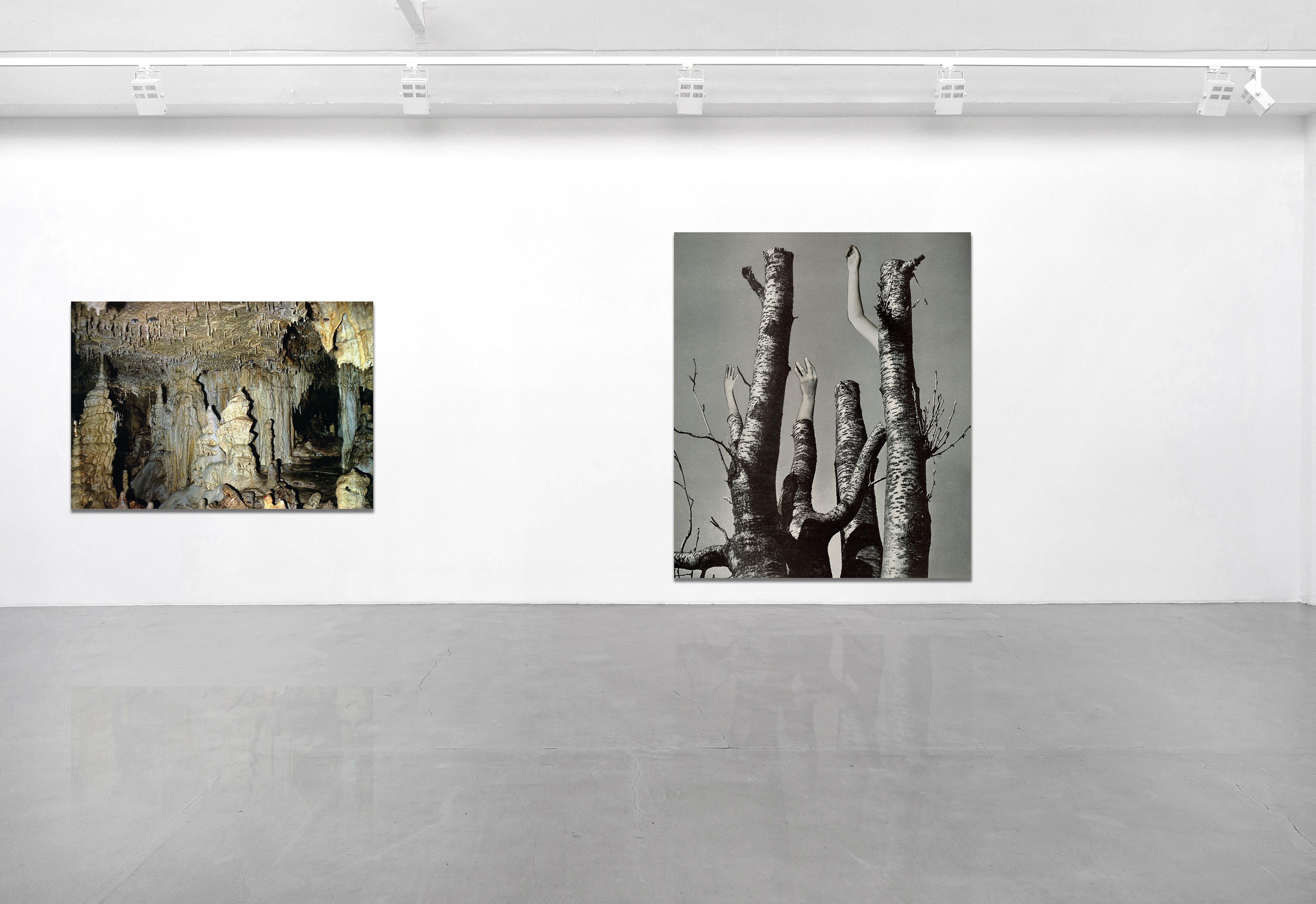 Galerie Barbara Thumm \ New Viewings #32 \ Krista Belle Stewart
